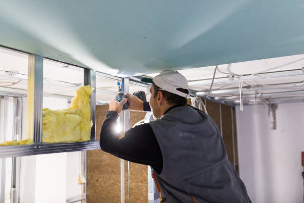 Best Spray Foam Insulation in Royal Hawaiian Estates, HI