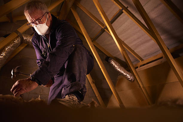 Best Specialized Insulation Services in Royal Hawaiian Estates, HI