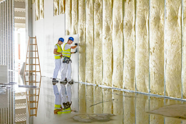 Best Geographic-Specific Insulation Services in Royal Hawaiian Estates, HI
